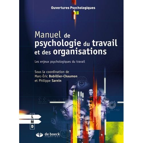Manuel De Psychologie Du Travail Et Des Organisations - Les Enjeux Psychologiques Du Travail