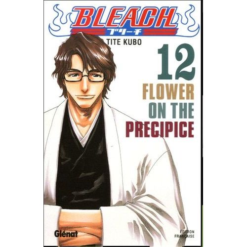 Bleach - Tome 12 : Lower On The Precipice