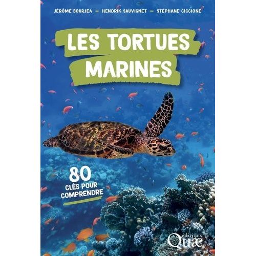 Les Tortues Marines - 80 Clés Pour Comprendre