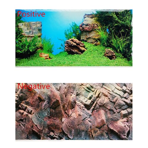 Affiche De Fond D'aquarium Double Face De 60 100 150cm De Haut,Toile De Fond Murale Décorative Pour Aquarium De Roche,Décor Brillant - Type Background Painting-150 X 60 Cm #C