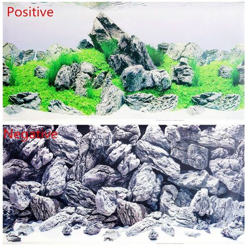 Affiche De Fond D'aquarium Double Face De 60 100 150cm De Haut,Toile De Fond Murale Décorative Pour Aquarium De Roche,Décor Brillant - Type Background Painting-150 X 60 Cm #E