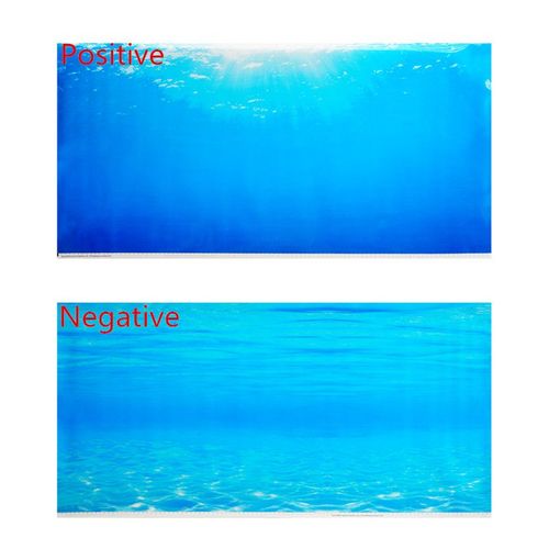 Affiche De Fond D'aquarium Double Face De 60 100 150cm De Haut,Toile De Fond Murale Décorative Pour Aquarium De Roche,Décor Brillant - Type Background Painting-150 X 60 Cm #B