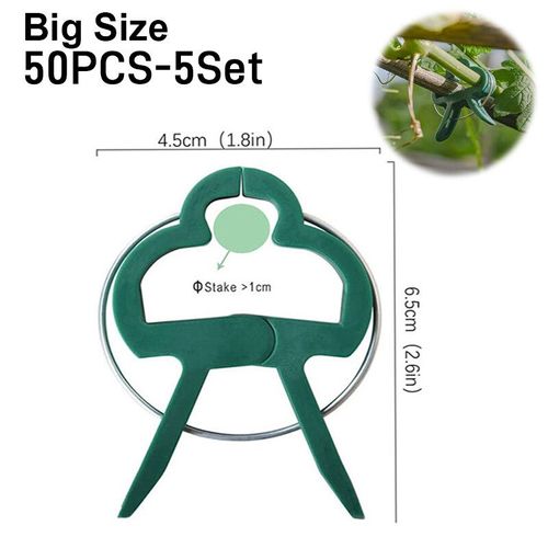 Porte-tige en spirale Ikebana pour fleurs,porte-tiges en spirale pour vases,accessoire d'art floral bricolage,cadeaux de fleurs Shaper,bouquet Twister - Type 50PCS-5SET-Big