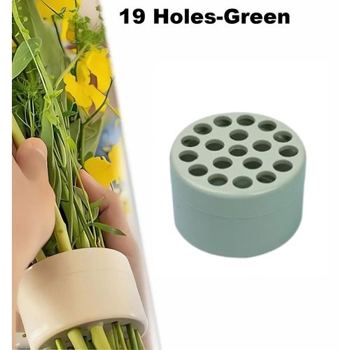 Porte-tige en spirale Ikebana pour fleurs,porte-tiges en spirale pour vases,accessoire d'art floral bricolage,cadeaux de fleurs Shaper,bouquet Twister - Type 19 Holes-Green