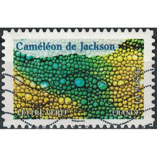 France 2024 Oblitéré Used Animaux En Couleurs Caméléon De Jackson Y&t Fr 2390