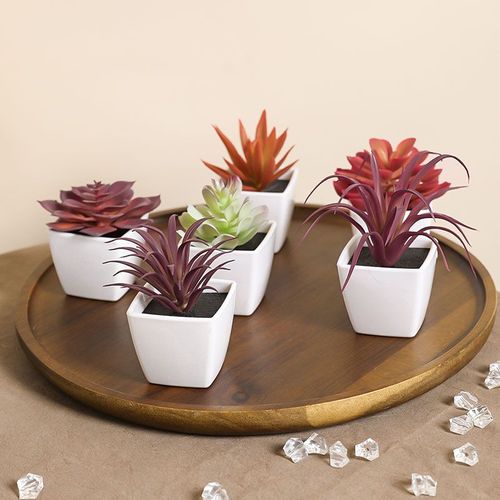 Mini plante verte succulente artificielle,bassin en plastique blanc,rebord de fenêtre de maison,décoration d'étagère de bureau de Restaurant 6 pièces (ensemble) - Type Rouge-6PCS(SET)