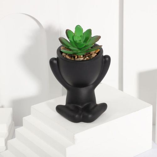 plante artificielle en Pot d'aloe vera,fleur de personnage Miniature noir,fausse plante en Pot,matériel PE,décoration de la maison - Type FX23110306B