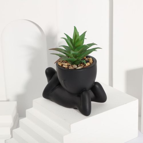 plante artificielle en Pot d'aloe vera,fleur de personnage Miniature noir,fausse plante en Pot,matériel PE,décoration de la maison - Type FX23110306C