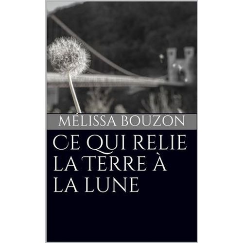 Ce Qui Relie La Terre À La Lune