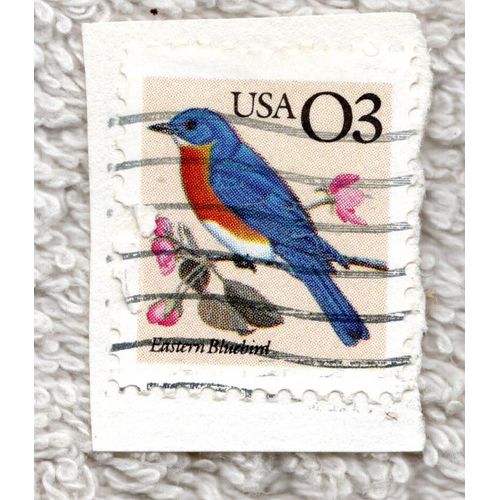 Timbre U S A, Eastern Bluebird, Catégorie O3, Oblitéré