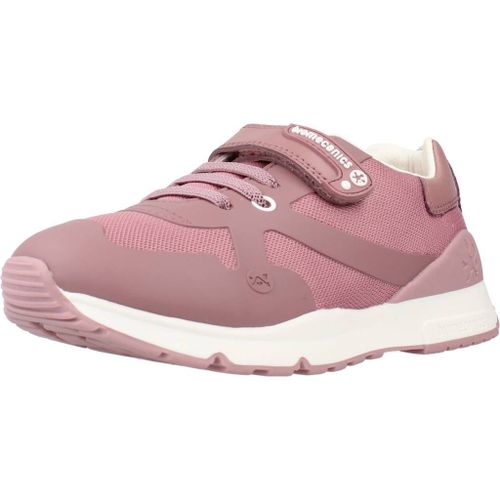Biomecanics 231007b Colour Rose