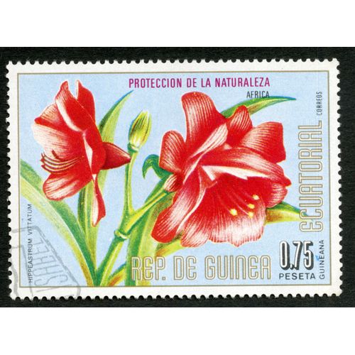 Timbre Oblitéré Rep.De Guinea Ecuatorial, Proteccion De La Naturaleza, Africa, Hippeastrum Vittatum, 0.75 Peseta