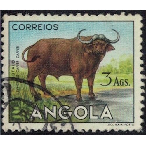 Angola 1953 Oblitéré Animal Búfalo Syncerus Caffer Caffer Y&T Ao 368 Su
