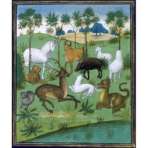 Fabliaux Et Contes Du Moyen Âge
