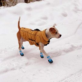Chaussures Imperméables Pour Chiens - Réglables, Respirantes Et Antidérapantes - Disponibles En Tailles M, L Et Xl - Bleu Et Orange