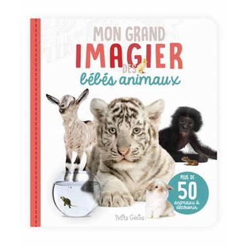 Mon Grand Imagier Des Bébés Animaux