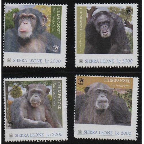 Sierra Leone Timbres Animaux : Chimpanzés 2012