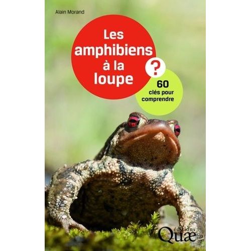 Les Amphibiens À La Loupe - 60 Clés Pour Comprendre