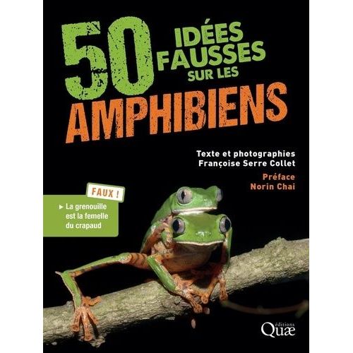 50 Idées Fausses Sur Les Amphibiens