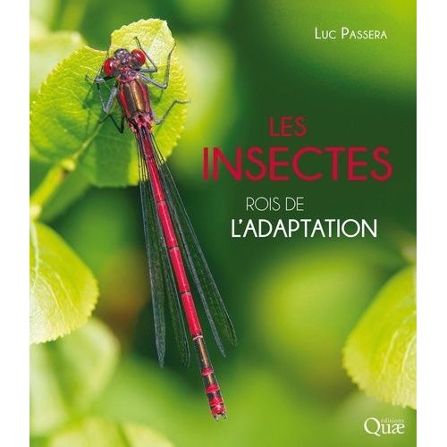 Les Insectes - Rois De L'adaptation