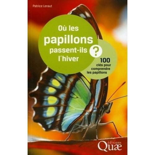 Où Les Papillons Passent-Ils L'hiver ? - 100 Clés Pour Comprendre Les Papillons