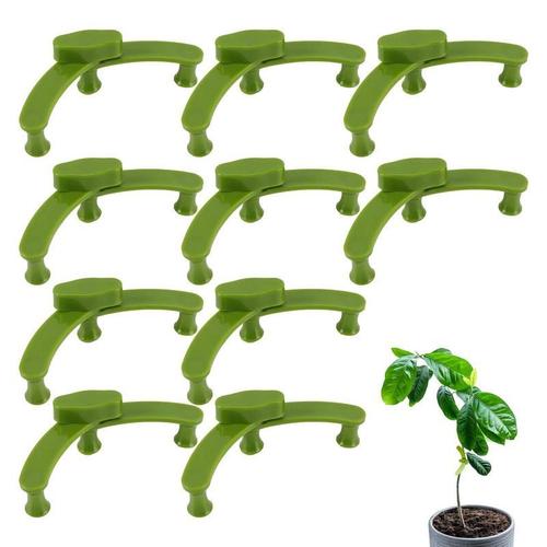 Clips d'entraînement pour plantes, entraîneur à faible souligné, pinces à tige de plante, cintreuse, brunch d'arbre, outil d'élagage pour orange, pêche, formage, fleurs