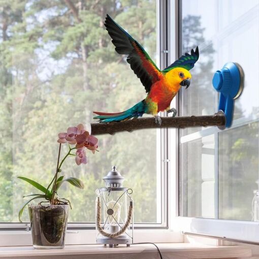 Perchoir Pour Oiseaux Avec Ventouse - Bois Naturel, Pour Fenêtre Ou Cage, Exercice Et Jeu Perroquet