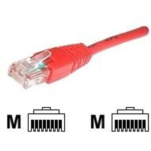 deXlan - Cordon de raccordement - RJ-45 (M) pour RJ-45 (M) - 5 m - UTP - CAT 6 - rouge