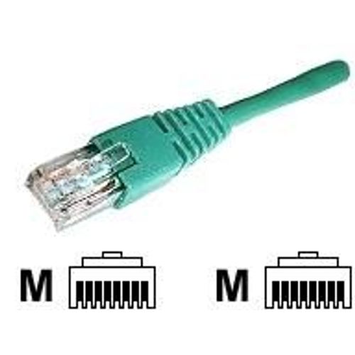deXlan - Cordon de raccordement - RJ-45 (M) pour RJ-45 (M) - 50 cm - UTP - CAT 6 - vert
