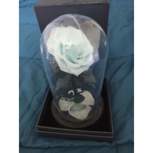 Vase rose eternel