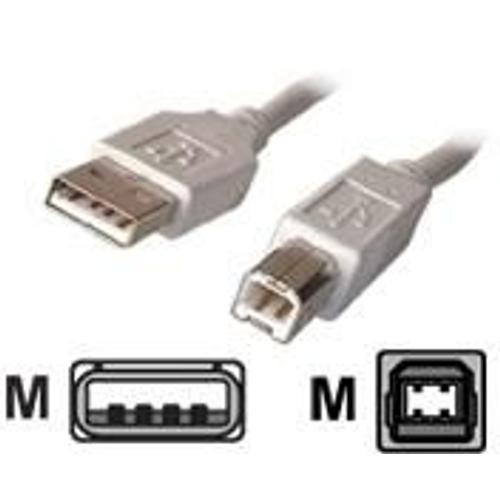 Dexlan - Câble USB - USB (M) pour USB type B (M) - 1.8 m - beige