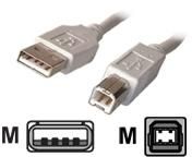 Dexlan - Câble USB - USB (M) pour USB type B (M) - USB 2.0 - 5 m