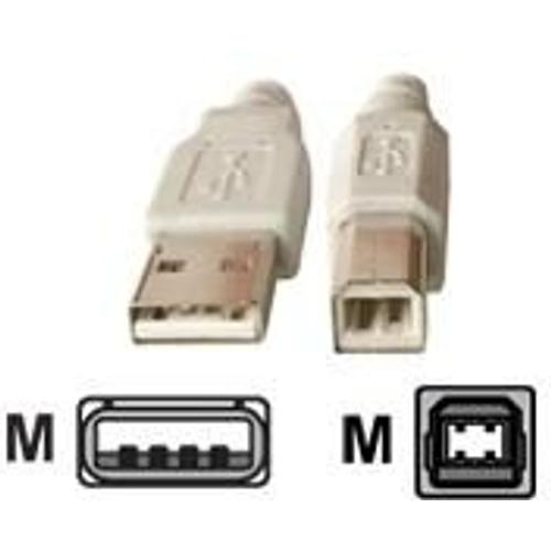 Dexlan - Câble USB - USB (M) pour USB type B (M) - 1.8 m