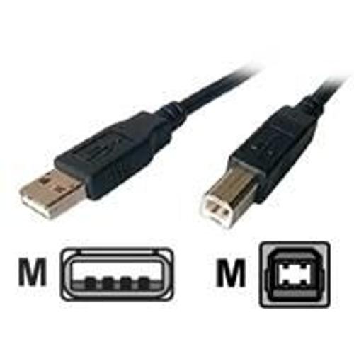 Dexlan - Câble USB - USB (M) pour USB type B (M) - USB 2.0 - 3 m - noir