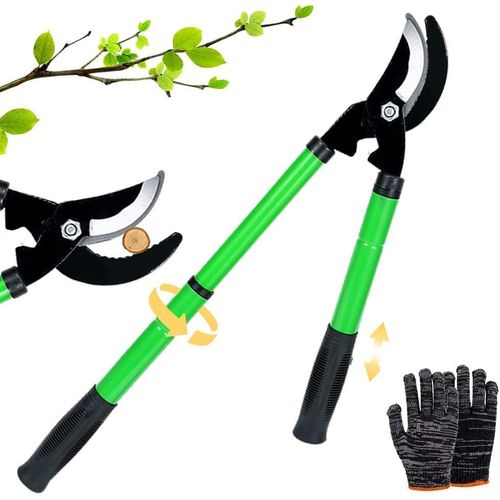 Sécateur télescopique à enclume 42 à 61 cm,élagueur télescopique,dériveur,jardinage,sécateur à branches avec poignées en caoutchouc antidérapantes,pour couper du bois frais jusqu'à un diamètre.