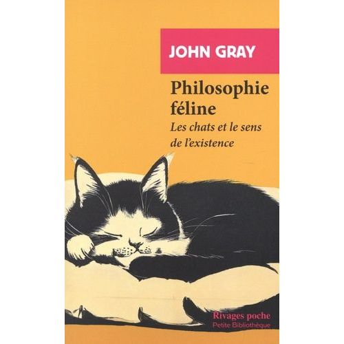 Philosophie Féline - Les Chats Et Le Sens De L'existence