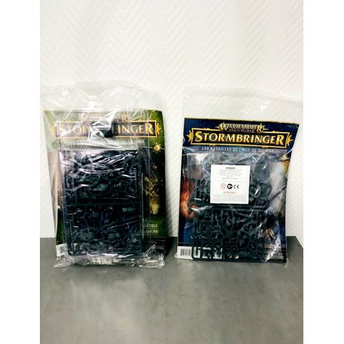 Warhammer Stormbringer Les Batailles De L¿Âge De Sigmar Numéro 2 Et 3