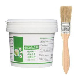 Pâte De Coupe De Bonsaï Pour Plaie D'arbre, Agent De Frottis, Scellant Composé D'élagage Avec Brosse, Scellant Étanche, Promoteur D'adhérence De Colle