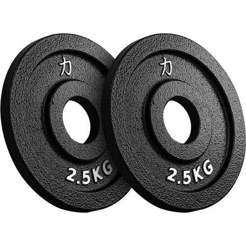 Disque Musculation 50mm (1,25 Kg À 25 Kg), Disque De Musculation En Fonte Avec Bord De Préhension, Robustes Disque De Poids Musculation, Idéal Pour Barre Olympique, Courbée, Etc.