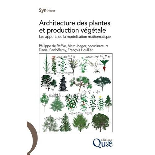 Architecture Des Plantes Et Production Végétale - Les Apports De La Modélisation Mathématique