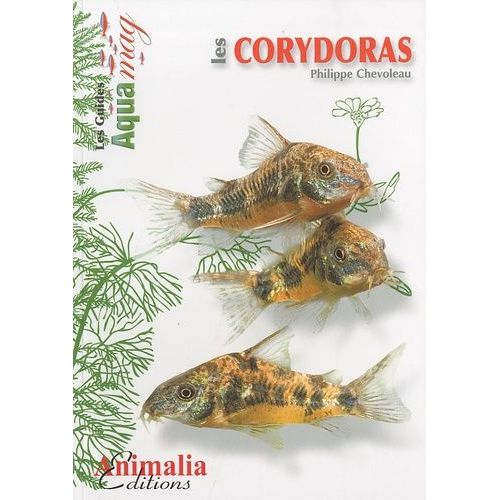 Les Corydoras