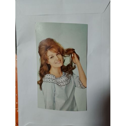 Carte Postale Dalida Sam Levin