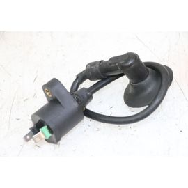 Bobine Peugeot Citystar 50 2013 - 2017 / 219047