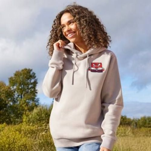Sweat Colère Taupe À Capuche Pour Adultes, Vice-Versa 2