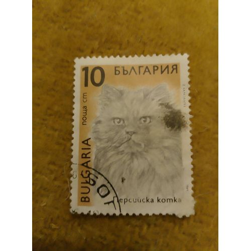Timbre Oblitéré 10 Bulgaria Chat Gris.