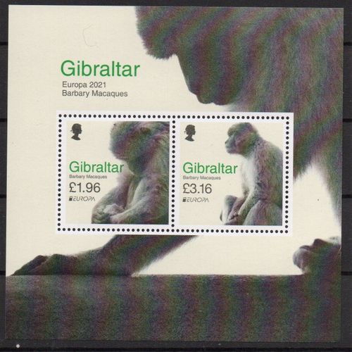 Gibraltar Timbres Animaux En Voie De Disparition : Les Singes 2021