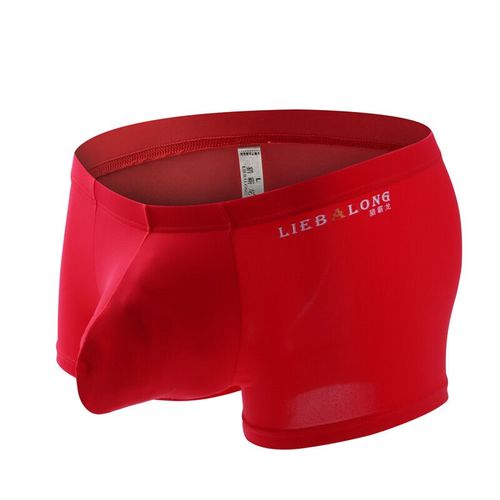 Long Renflement U Poche Sexi Sous-Vêtements Sexy Caleçons Elephone Nez Boxeurs Hommes Doux Confort U Convexe Lisse Shorts Glace Soie