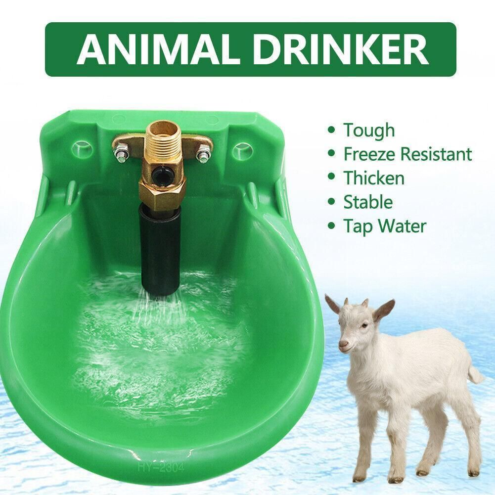 Ouvre-bouche Pour Bétail Vache Mouton - Outil Vétérinaire En Acier Inoxydable Et PP, Taille Grand