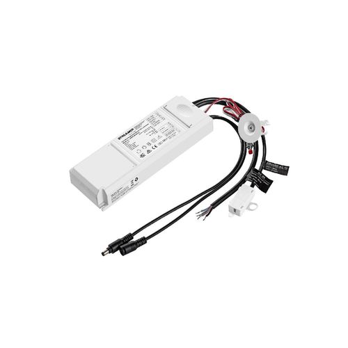 Driver De Secours Pour Panneaux Led Sortie 10-50v Dc 3w Avec Batterie 3 W