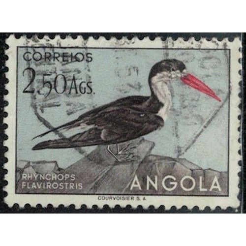 Angola 1951 Oblitéré Oiseau Rhynchops Flavirostris Bec En Ciseaux D'Afrique Y&T Ao 336 Su